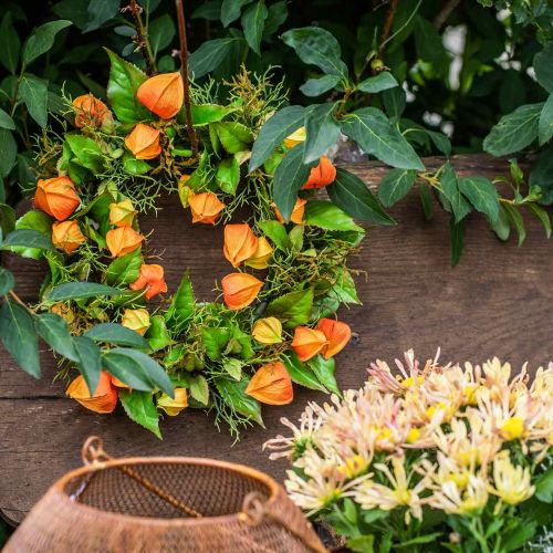 Floristik24 Physalis krans kunstig oransje, grønn Ø28cm høstdekor