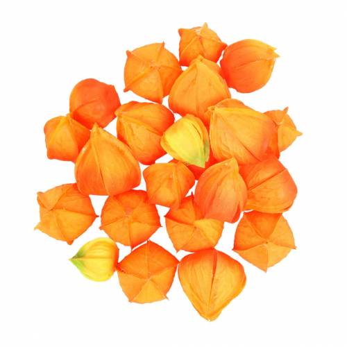 Physalis Orange Assorted 22stk dekorative kunstige blomsterbeger