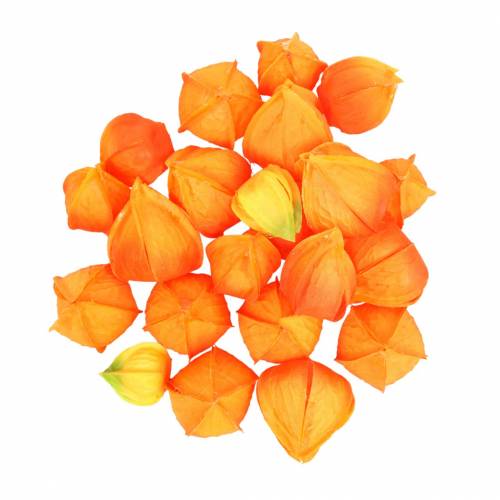 Floristik24 Physalis Orange Assorted 22 stk dekorative kunstige beger