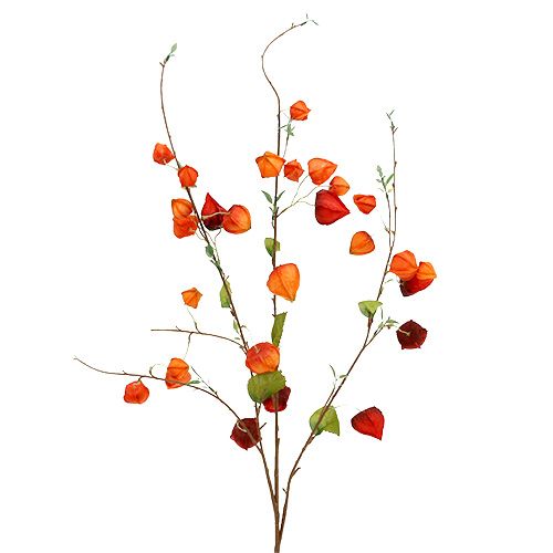 Floristik24 Physalis gren 90cm oransje 3stk