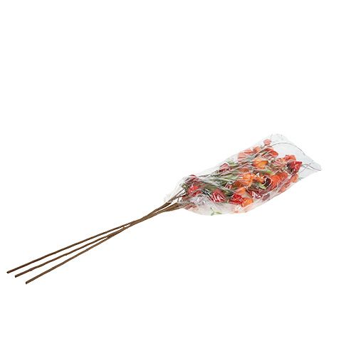 Floristik24 Physalis gren 90cm oransje 3stk