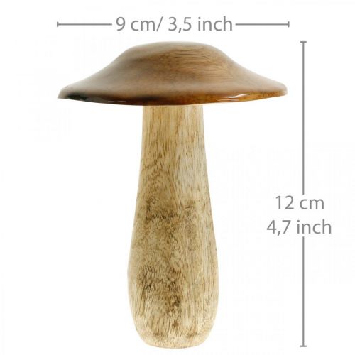 Floristik24 Sopp mangotre brun, naturborddekorasjon høst Ø9cm H12cm 2stk