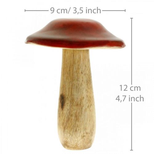 Floristik24 Sopp mangotre rød, naturdekor høst Ø9cm H12cm 2stk