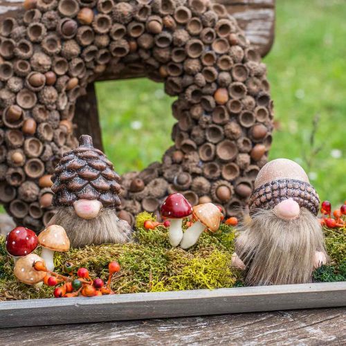 Floristik24 Sopp assortert 3cm x 5cm på wire 48 stk