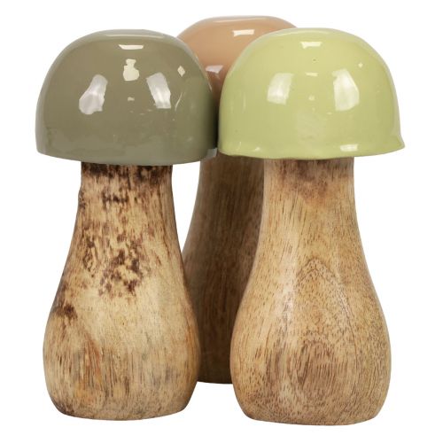 Floristik24 Tresopp dekorative sopp trebeige, grønn Ø5cm H10,5cm 6stk
