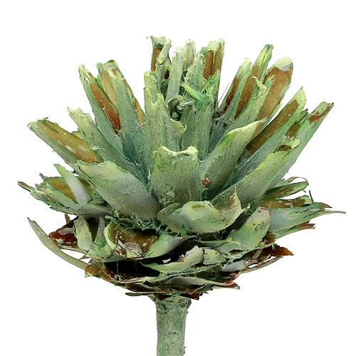 gjenstander Plumosum 1 Grønn Frostet 25 stk