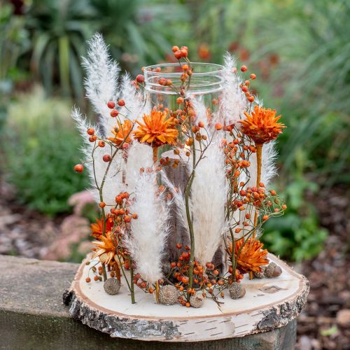 gjenstander Plumosum 1 Appelsin 25 stk