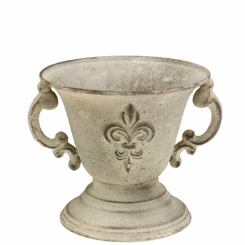 Floristik24 Trophy Bowl Vintage Cream Ø15cm H13,5cm
