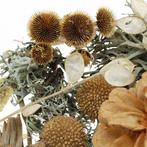 Floristik24 Herbstdeko Bland som håndverkssett Tørket Bleket 150g