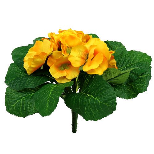 Primrose 15cm Gul