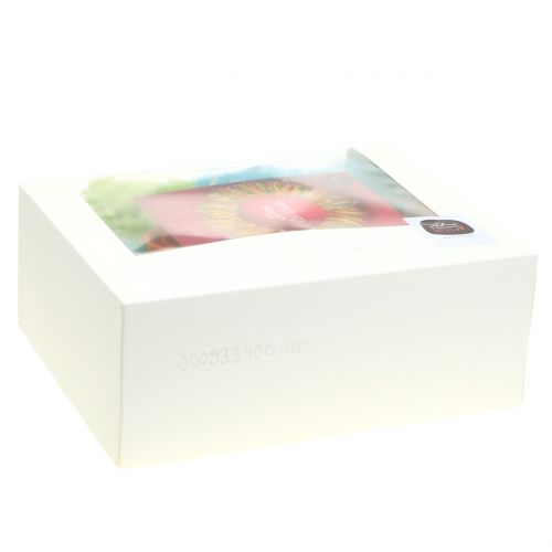 Floristik24 Håndverk sett Lehner ull vårfarget