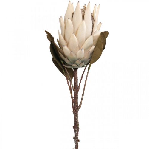 Floristik24 Protea Kunstig visnet Drylook Beige Brun Grønn 72cm