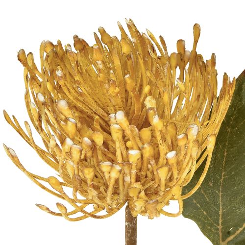 gjenstander Protea kunstig Leucospermum nålepute gul 30 cm 6 stk