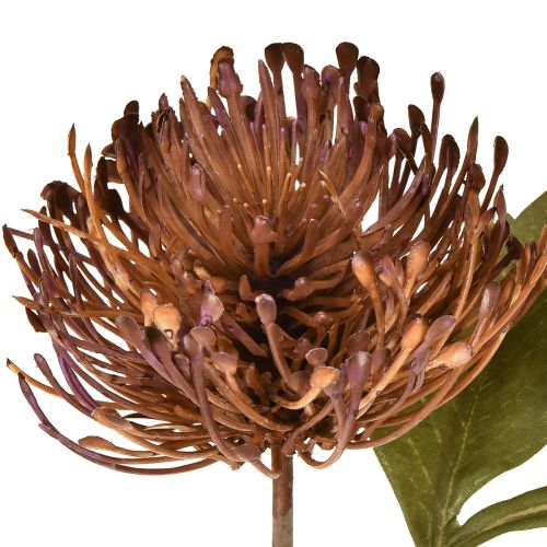 gjenstander Protea kunstig nålepute Leucospermum lilla 30 cm 6 stk