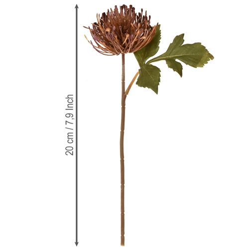 gjenstander Protea kunstig nålepute Leucospermum lilla 30 cm 6 stk