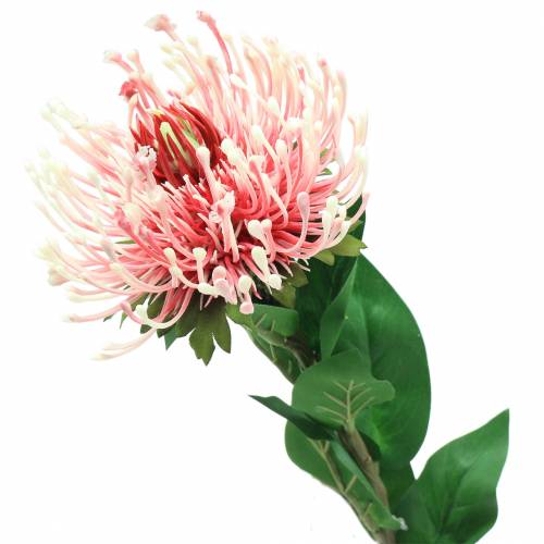 gjenstander Protea kunstig rosa 73cm