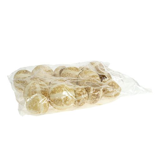 Floristik24 Gresskarkopp bleket 20 stk