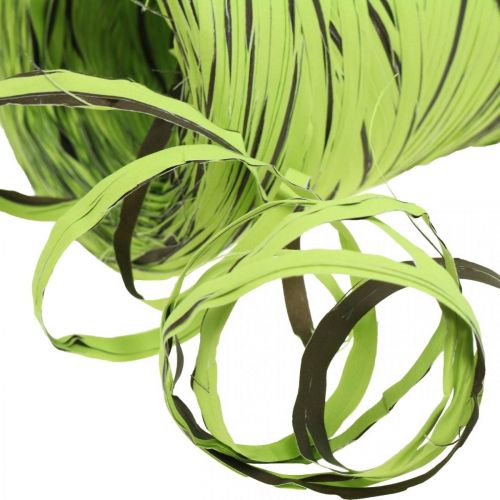 gjenstander Raffia bånd grønt, brunt, poly raffia 200m