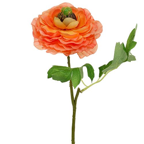 Floristik24 Ranunculus oransje 27cm 8stk