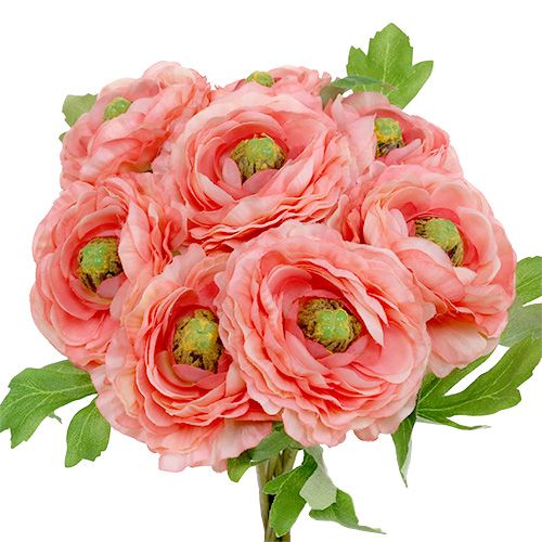 Floristik24 Ranunculus rose-rosa 27cm 8stk