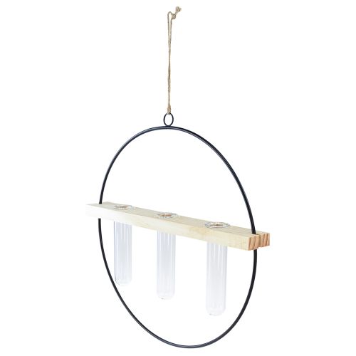 gjenstander Dekorativ vase med reagensrør, metallring, svart, hengende, moderne