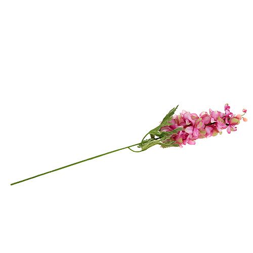 Floristik24 Larkspur Pink 60cm
