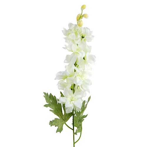 Floristik24 Larkspur hvit L60cm