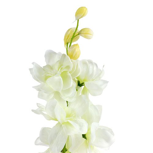 Floristik24 Larkspur hvit L60cm