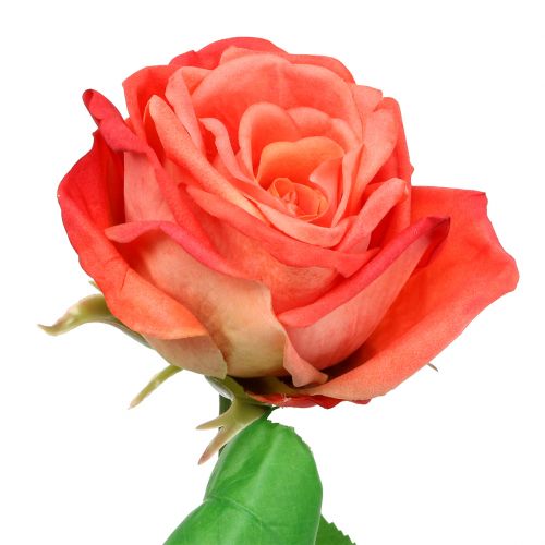 gjenstander Rose kunstig blomsterlaks 67,5cm