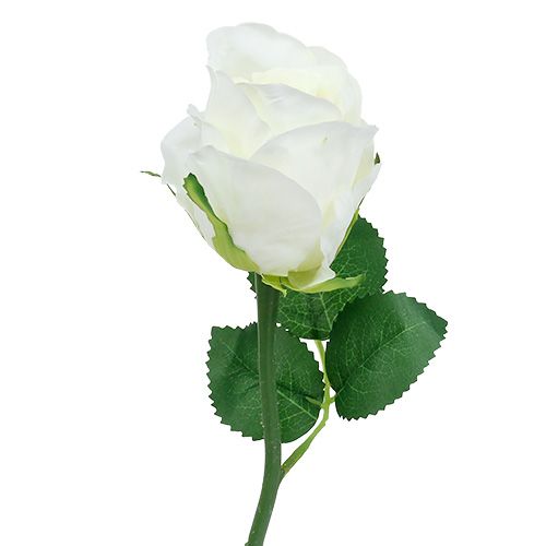 gjenstander Rose hvit Ø6cm L30cm 6stk