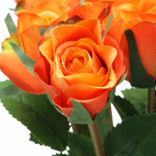 Floristik24 Rose Orange 42cm 12stk