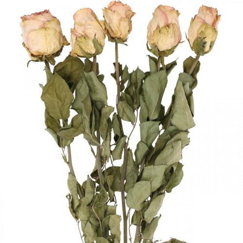 Dekorative roser, tørket blomst, tørkede roser, Valentinsdag, begravelsesblomster, rustikke roser gul-rosa L48cm 5stk