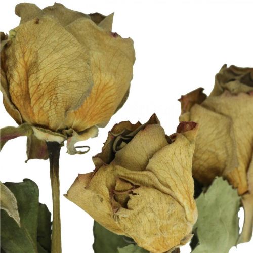 gjenstander Tørket blomsterrose, Valentinsdag, tørket blomsterdekor, rustikke dekorative roser gulfiolett L45-50cm 5stk