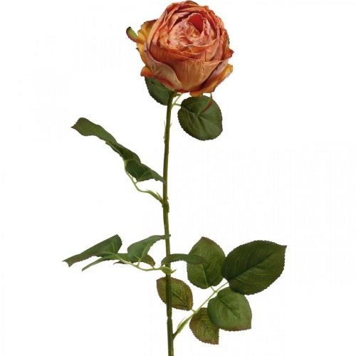 Floristik24 Kunstig roseappelsin, kunstrose, dekorativ rose L74cm Ø7cm