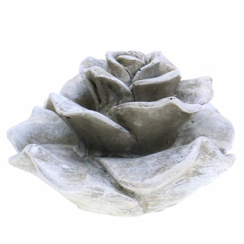 Floristik24 Deco rose grå Ø9,3cm