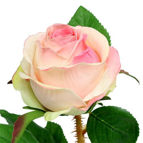 Floristik24 Kunstig rose krem-rosa Ø9cm L45cm 1 stk