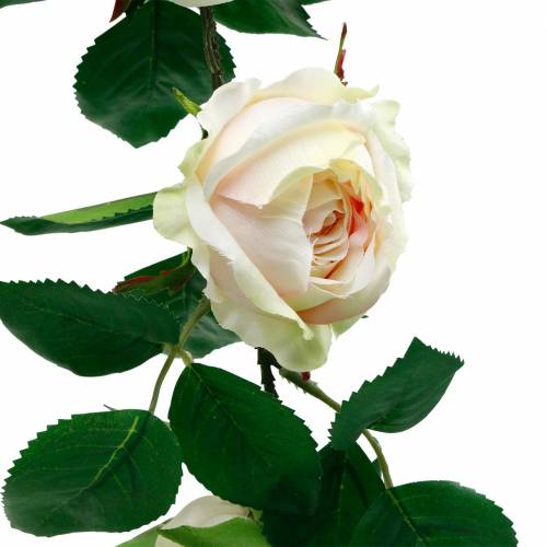 Floristik24 Romantisk Rose Garland Silke Flower Artificial Rose Vine 160cm