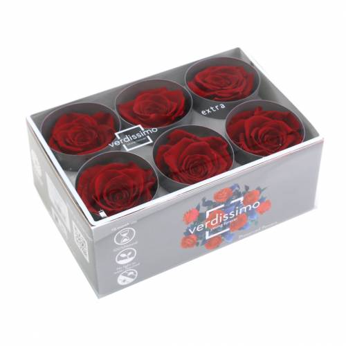 gjenstander Infinity Roses Large Ø5,5-6cm Rød 6 stk