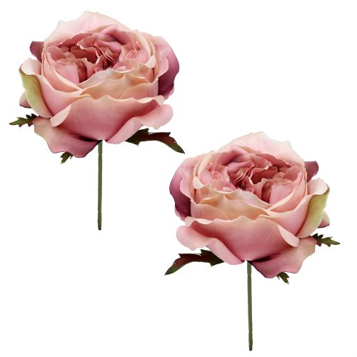 Floristik24 Rose hodekrem, rosa 17cm 4stk
