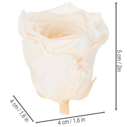 gjenstander Rosehoder, konserverte blomster for elegante blomsteroppsatser, 5 cm, 6 stk.