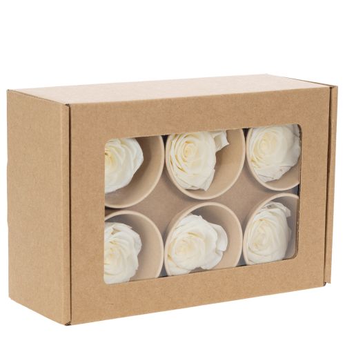 gjenstander Konserverte rosehoder, slitesterk borddekorasjon for en romantisk atmosfære, bryllupsdekorasjon, 5 cm, 6 stk.