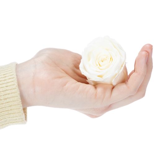 gjenstander Konserverte rosehoder, slitesterk borddekorasjon for en romantisk atmosfære, bryllupsdekorasjon, 5 cm, 6 stk.