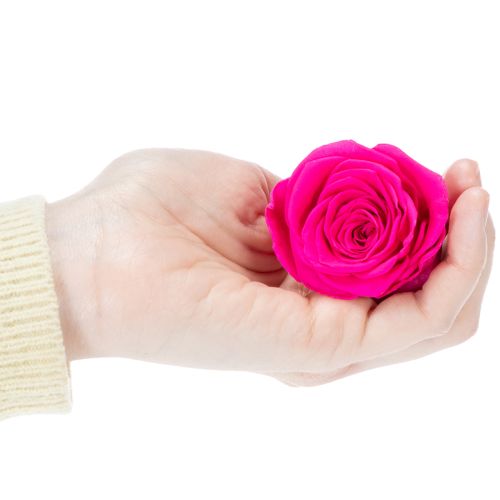 gjenstander Konserverte rosedekorasjoner, ekte blomster til borddekorasjon, unike og bærekraftige blomster, 5 cm, 6 stk.