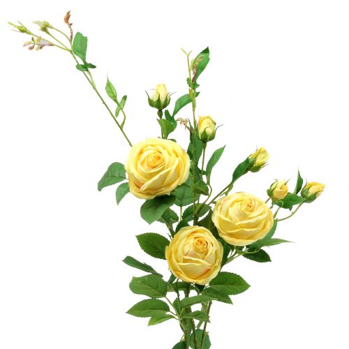 Rose gren gul 100cm