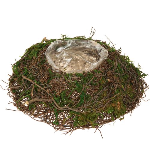 gjenstander Rund planteskål laget av vinranker med mose og folie til pynt