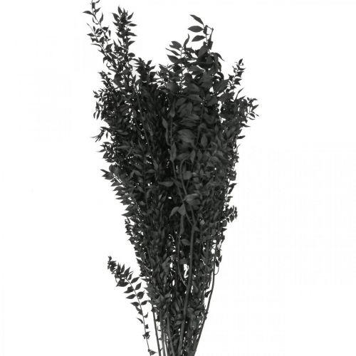 Ruscus grener dekorative grener tørkede blomster sorte 200g