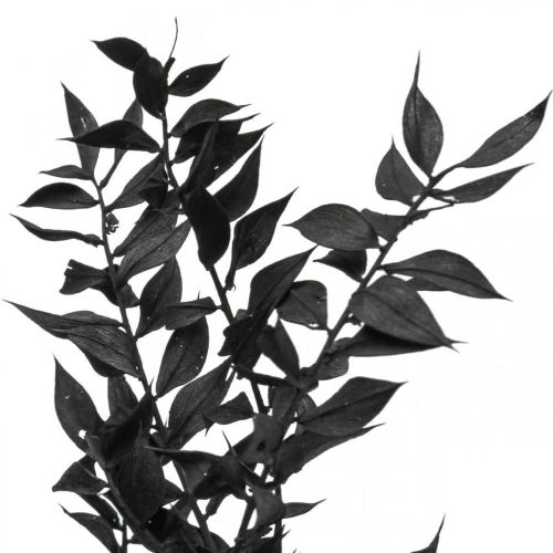 gjenstander Ruscus grener dekorative grener tørkede blomster sorte 200g