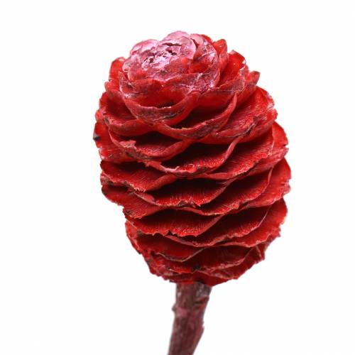 gjenstander Deco greiner Sabulosum rød frostet 4-6 25 stk