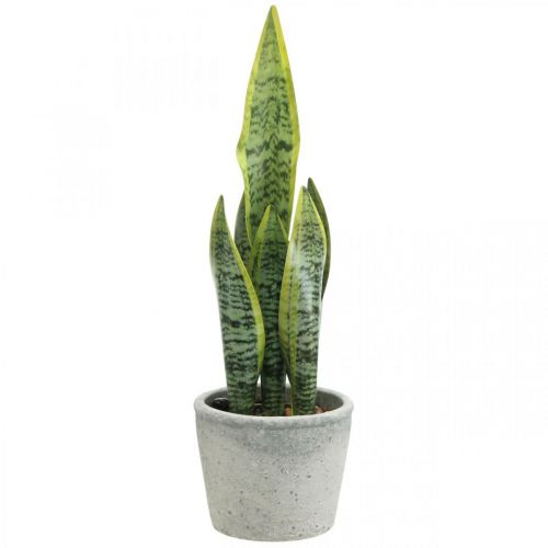 Kunstig buehamp, grønn plante i potte, Sansevieria H39cm Ø12cm