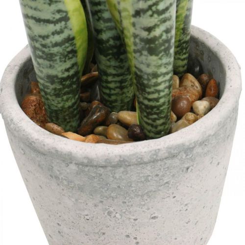 Floristik24 Kunstig buehamp, grønn plante i potte, Sansevieria H39cm Ø12cm